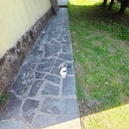 Isolarea San Pietro Vara